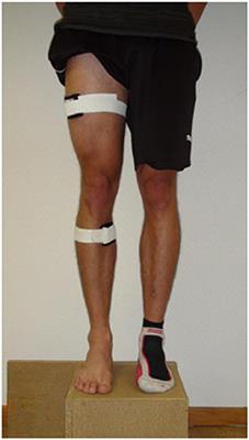 Validity and Reliability of an Inertial Sensor-Based Knee Proprioception Test in Younger vs. Older Adults